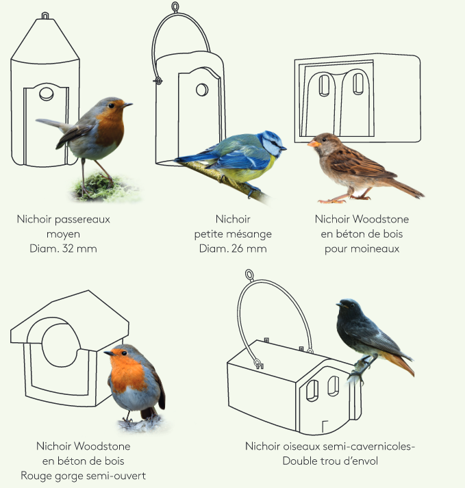 Les différents types de nichoirs pour oiseaux